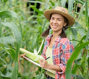 Organic & Healthy Foods Provider Farming