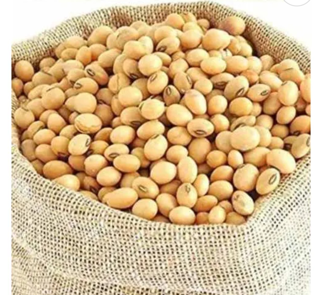 Soyabean