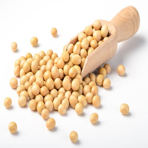 soybeans