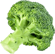 Organic Vegetables